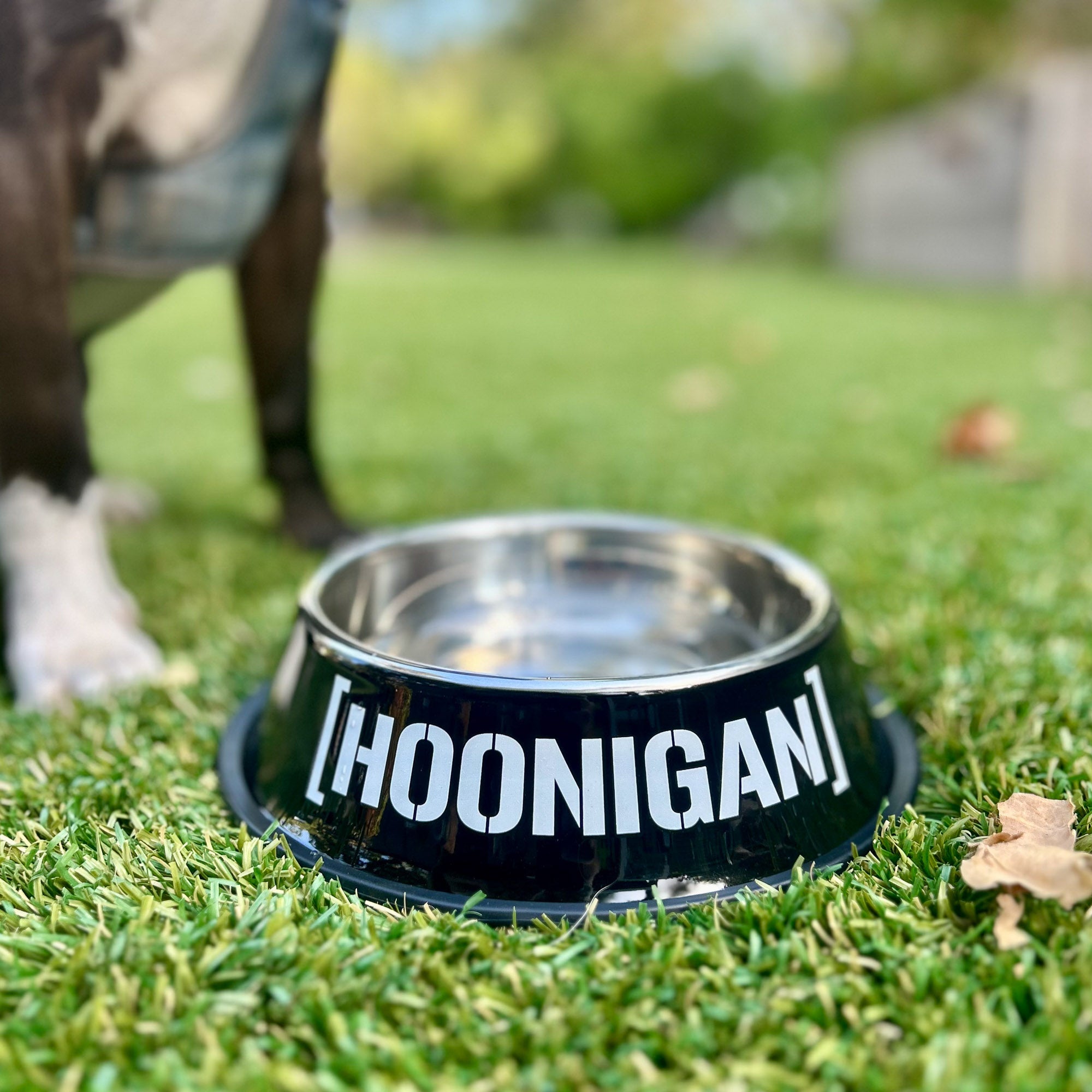 Hoonigan metal dog bowl featuring a bold logo, set on grass with a dog nearby, perfect for automotive enthusiasts.