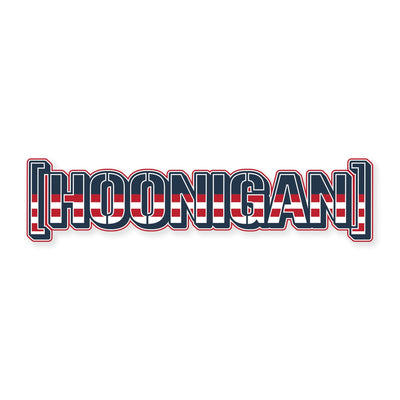 Hoonigan USA sticker, 8 inches, featuring bold text with red, white, and blue stripes and outline design.