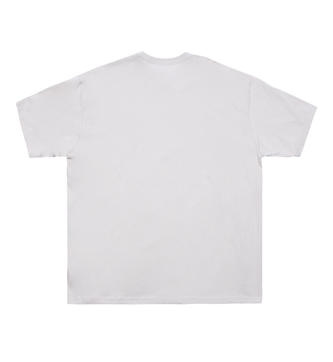 ZBROZ Rule Your Domain short sleeve tee in silver with a bold graphic design on the back.