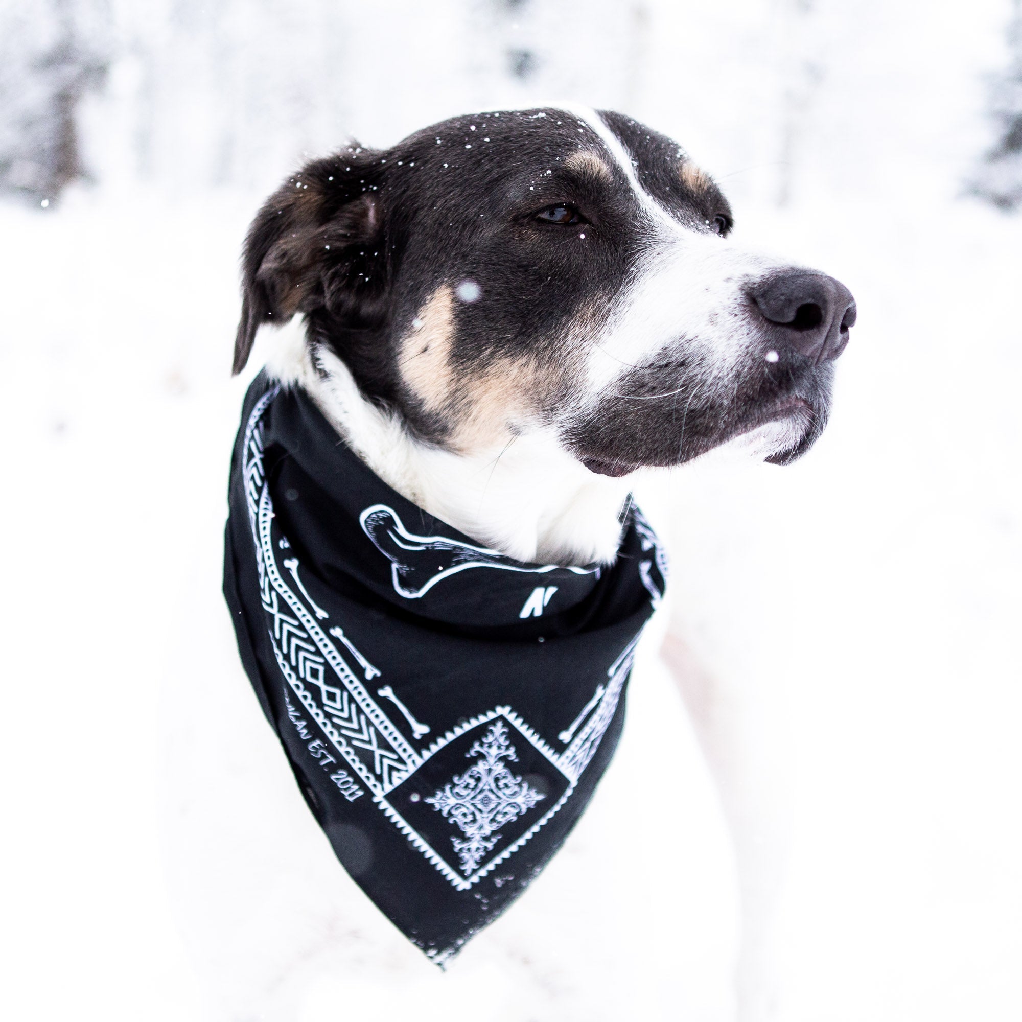 Hoonigan BONES Bandana